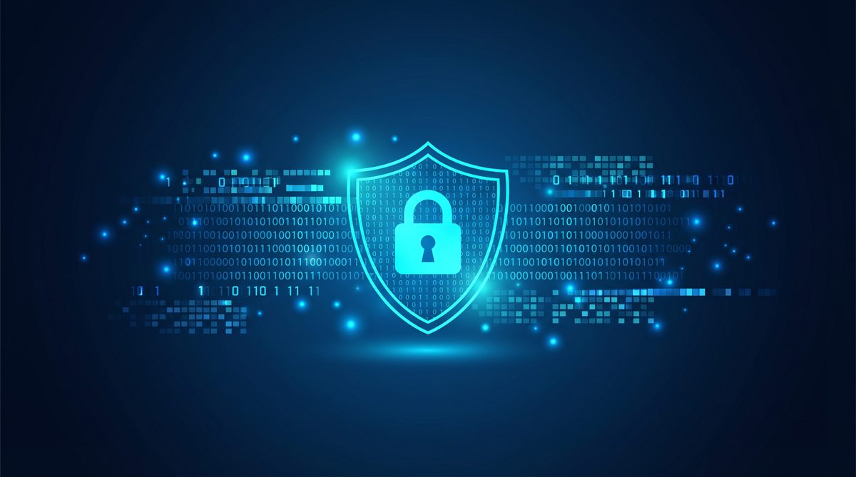 白鱼加速器隐私安全保护